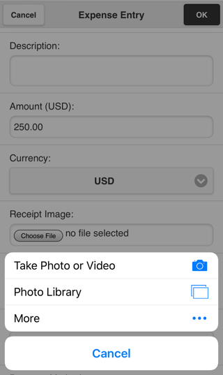 expense entry attach receipt options.png