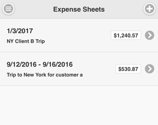 expense sheets screen-639578-edited.png