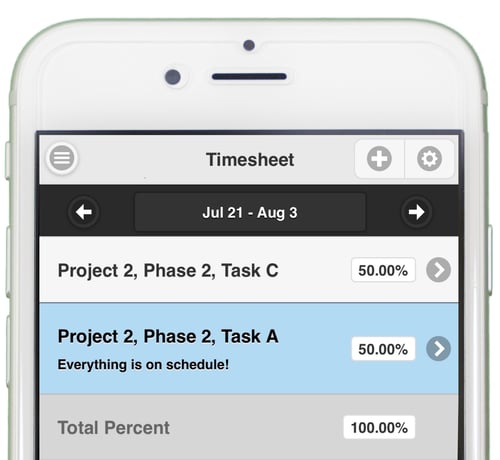 percent-allocation-timesheet